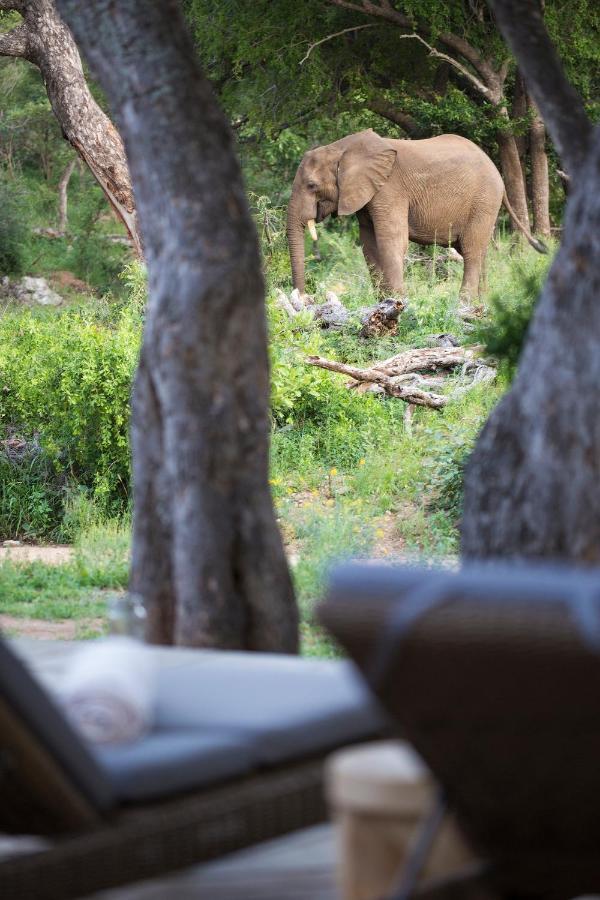 Simbavati Amani Villa Klaserie Private Nature Reserve Exterior photo